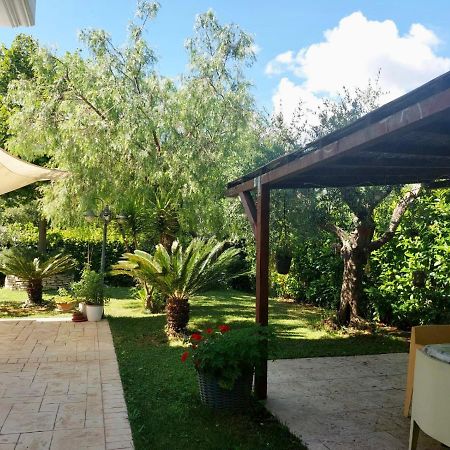 Rosadipepe Apartment Ripatransone Exterior foto