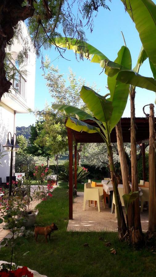 Rosadipepe Apartment Ripatransone Exterior foto